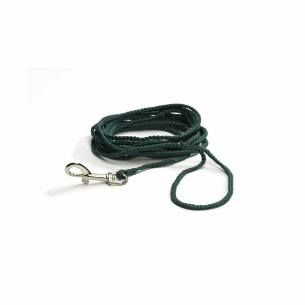 Beeztees Nylon Zoeklijn Hondenriem Blister 15m Groen