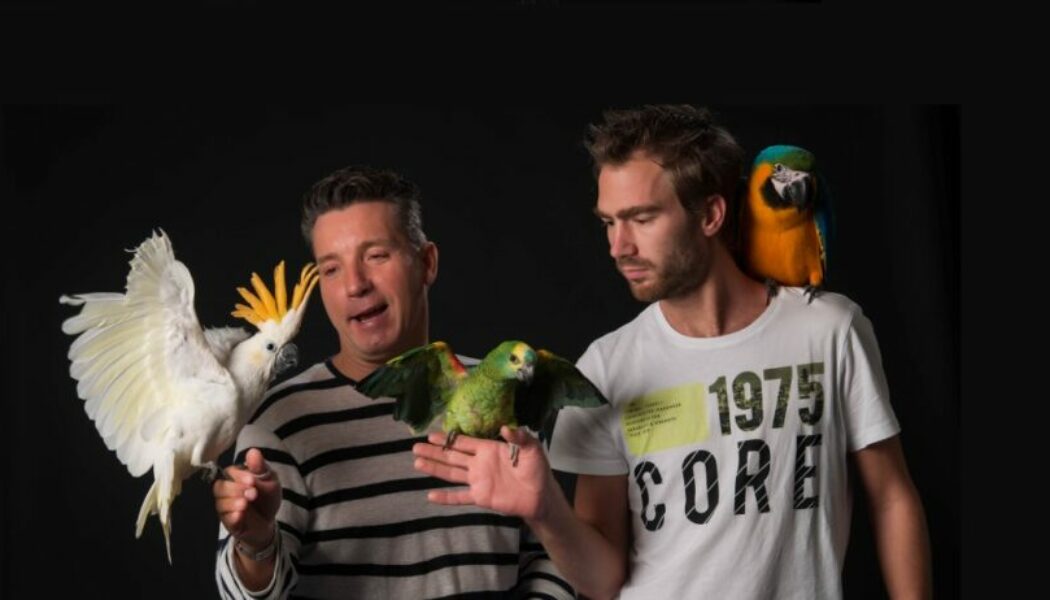 papegaaishoot-debby-